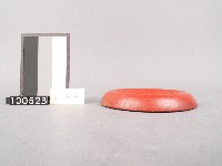 木杯墊藏品圖，第2張