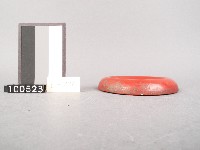 木杯墊藏品圖，第2張