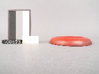 木杯墊藏品圖，第2張