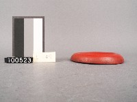 木杯墊藏品圖，第2張