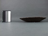 圓竹篩藏品圖，第2張
