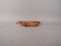 籐製獵具藏品圖，第5張