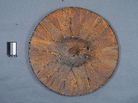 斗笠藏品圖，第2張