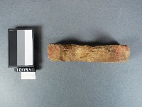 木糕模藏品圖，第5張