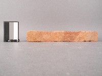 瓦片藏品圖，第2張