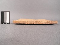 瓦片藏品圖，第2張