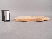 瓦片藏品圖，第2張