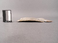 古瓦藏品圖，第2張