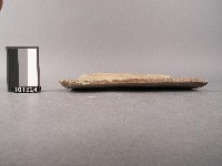 古瓦藏品圖，第2張