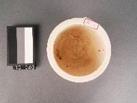 彩繪雙龍紋香爐藏品圖，第2張