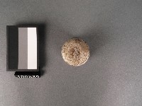 鋁罐藏品圖，第2張