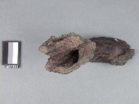 祈南香藏品圖，第2張