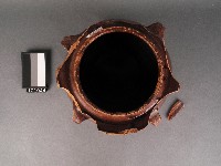 豬油壺藏品圖，第2張