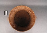 飯桶藏品圖，第2張