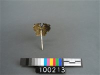 蝶式髮針藏品圖，第2張