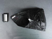 線尾袋藏品圖，第2張