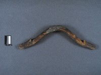 木製牛軛構件藏品圖，第1張