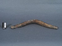 木製牛軛構件藏品圖，第2張