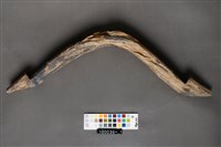 牛軛構件藏品圖，第2張