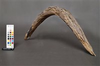 牛軛構件藏品圖，第1張