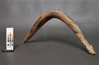 牛軛構件藏品圖，第2張