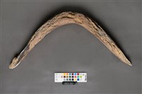 牛軛構件藏品圖，第3張