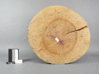 木鉆板藏品圖，第1張