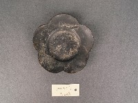 錫茶盞藏品圖，第1張