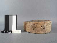 木榫斗藏品圖，第6張