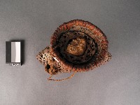 小魚簍藏品圖，第2張