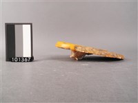 瓦當藏品圖，第3張