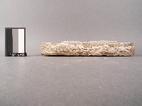 方磚藏品圖，第2張