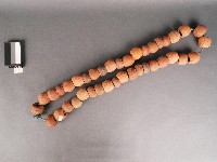 網墜藏品圖，第1張