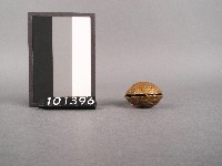 鈴藏品圖，第2張