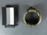 環藏品圖，第4張