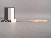 織網具藏品圖，第2張