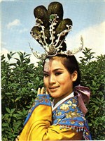 明信片藏品圖，第1張