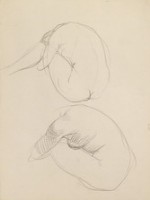 素描 人體素描藏品圖，第1張