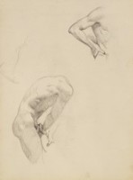 素描 男體素描藏品圖，第1張