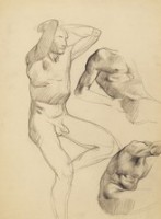 素描 人體素描藏品圖，第1張