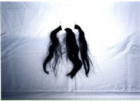 傀儡三牙藏品圖，第1張