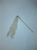 傀儡拂塵藏品圖，第1張