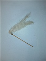 傀儡拂塵藏品圖，第2張