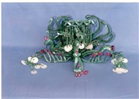 鳳仔冠藏品圖，第1張