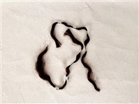 頭髮藏品圖，第1張
