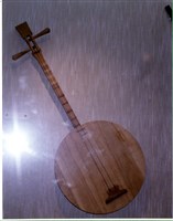 月琴（特）藏品圖，第1張