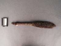 棕簑刷子藏品圖，第1張