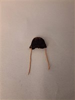 傀儡帽藏品圖，第1張