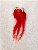 布袋大鬍藏品圖，第1張