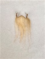 布袋大鬍藏品圖，第1張